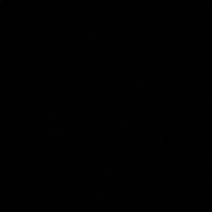 Meet your Posher, Dee